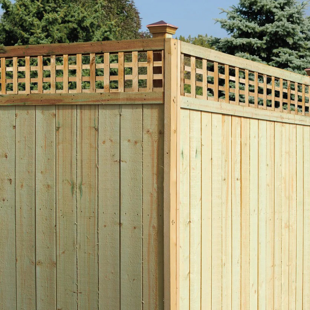 Lattice Top